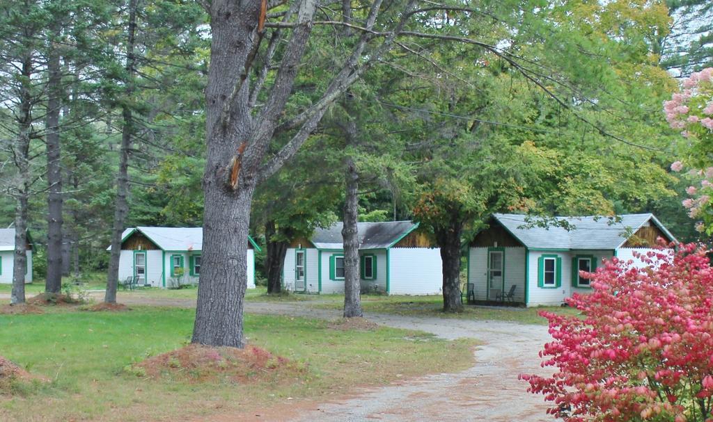 Thornton Pine Valley Cabins الغرفة الصورة