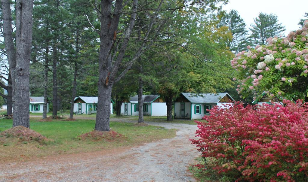 Thornton Pine Valley Cabins المظهر الخارجي الصورة