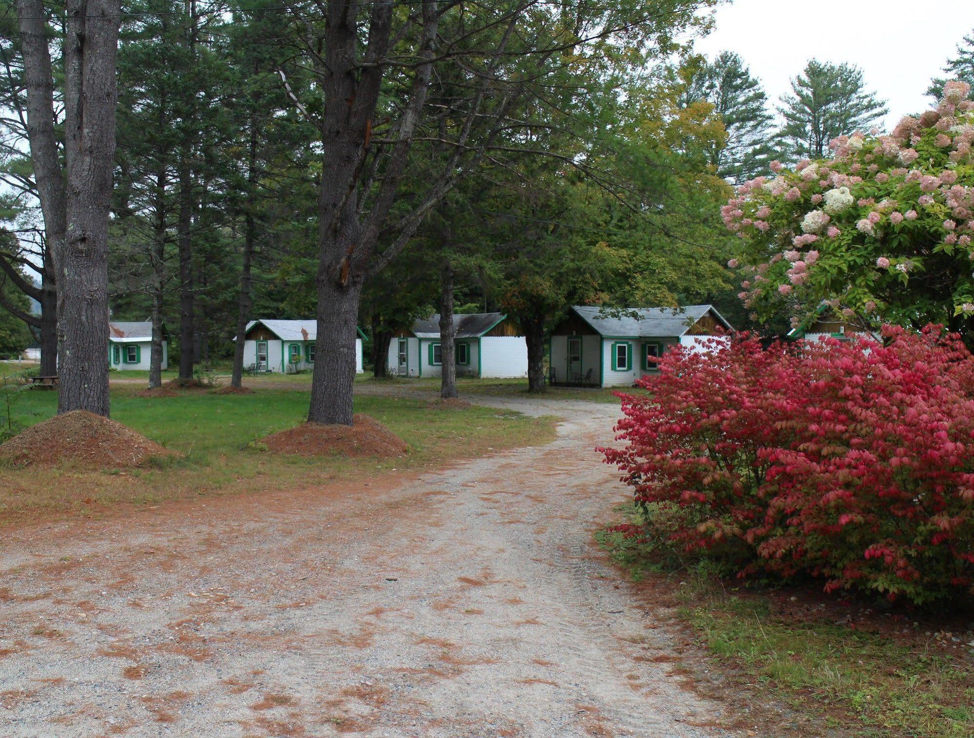 Thornton Pine Valley Cabins المظهر الخارجي الصورة