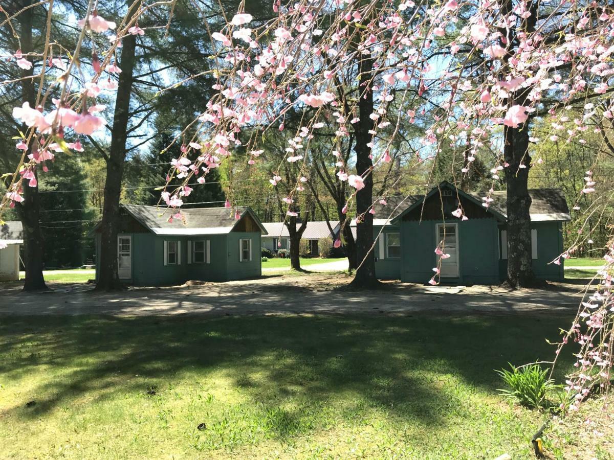 Thornton Pine Valley Cabins المظهر الخارجي الصورة